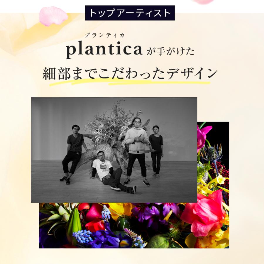 Slindy スリンディ」【2枚セット】 （クラッシーネイビー