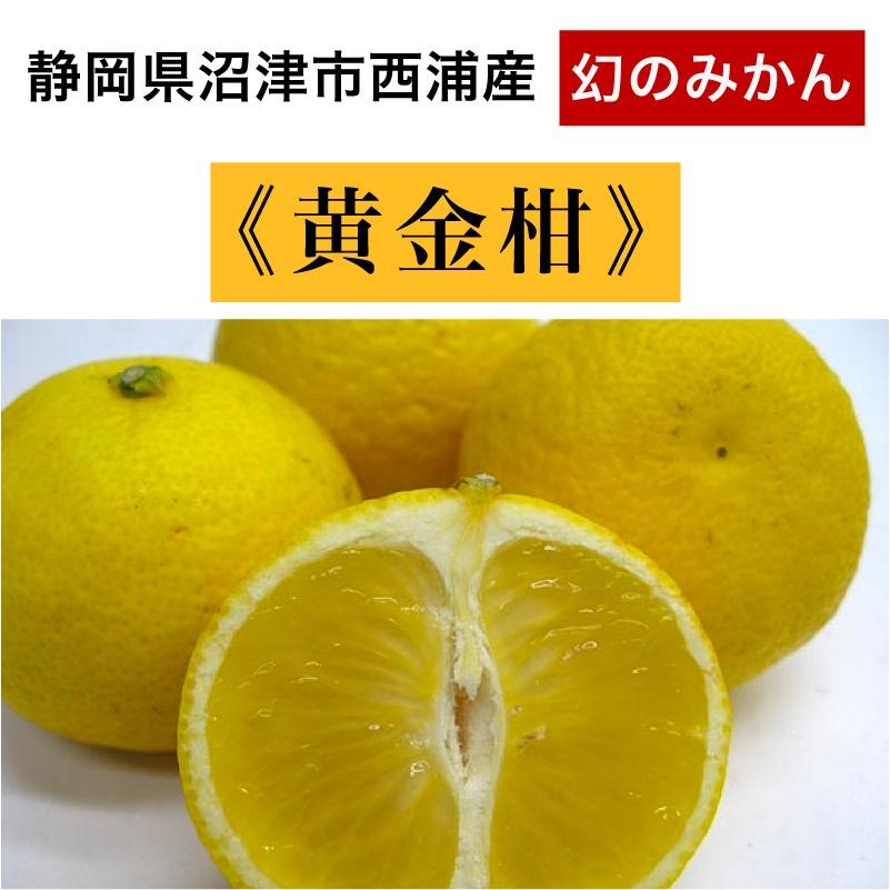大幅値下げ！数量限定 900円OFF！3890円→2990円】【クール便】黄金柑