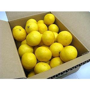 大幅値下げ！数量限定 900円OFF！3890円→2990円】【クール便】黄金柑