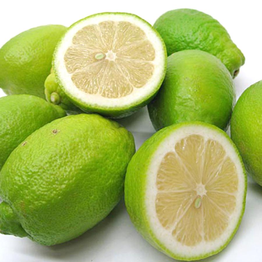 無農薬レモン 加工用10kg ※北海道、東北、沖縄への発送不可 lemon2021-1.jpg