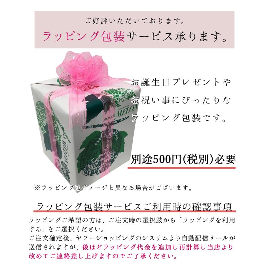あすつく対応(定休日除く)・送料無料】静岡産 アローマメロン 中玉 1玉