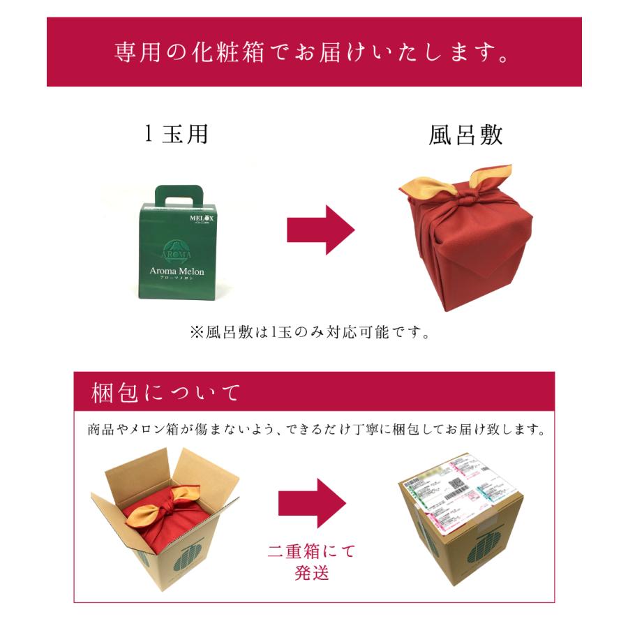 【あすつく対応】静岡産 アローマメロン 中玉 1玉 (1.2kg前後) マスクメロン 贈答 ギフト 内祝 果物 フルーツ 母の日 父の日 お中元 お歳暮 高級 メロン｜benikou｜12