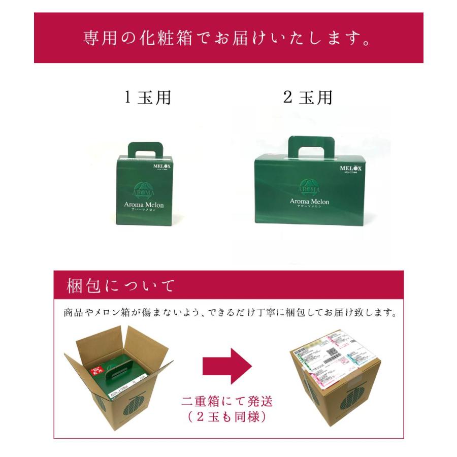 あすつく対応(定休日除く)・送料無料】静岡産 アローマメロン 中玉 1玉
