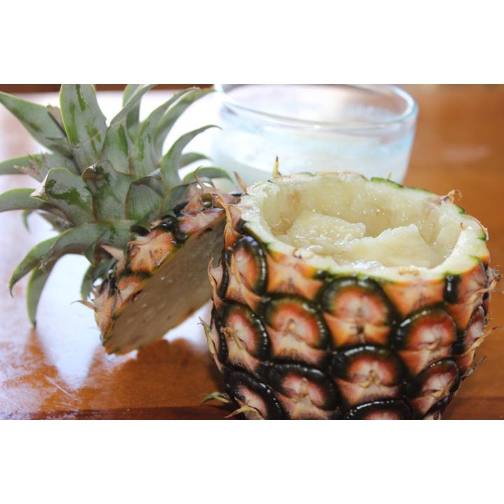 早期予約割！600円OFF！5580円→4980円！】沖縄西表島産 ピーチパイン