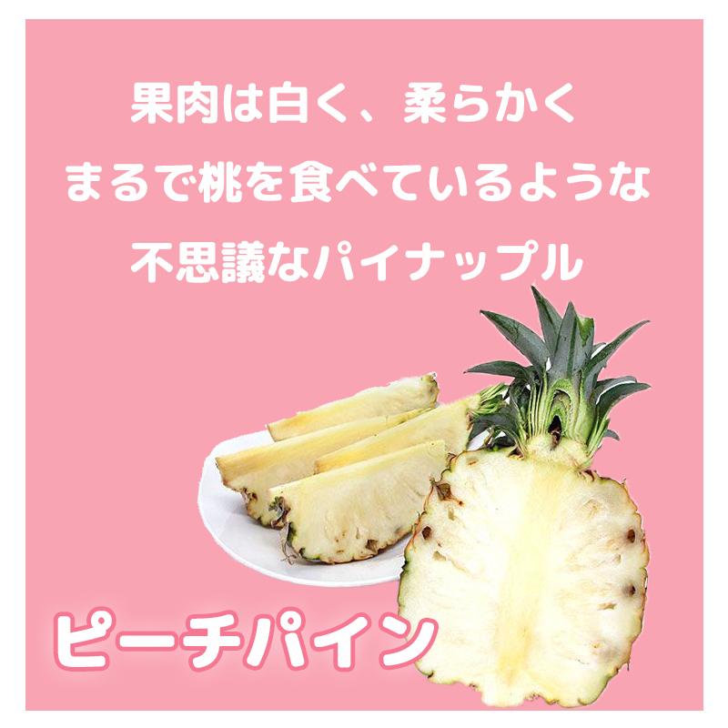 今季販売終了間近！・残り2箱】沖縄西表島産 ピーチパイン 中箱 (2.5kg