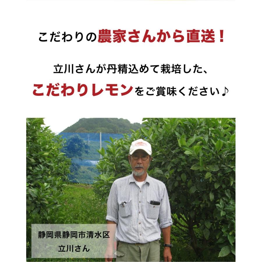 国産 レモン 静岡産 訳あり B品 3kg 「北海道・沖縄の配送+1100円
