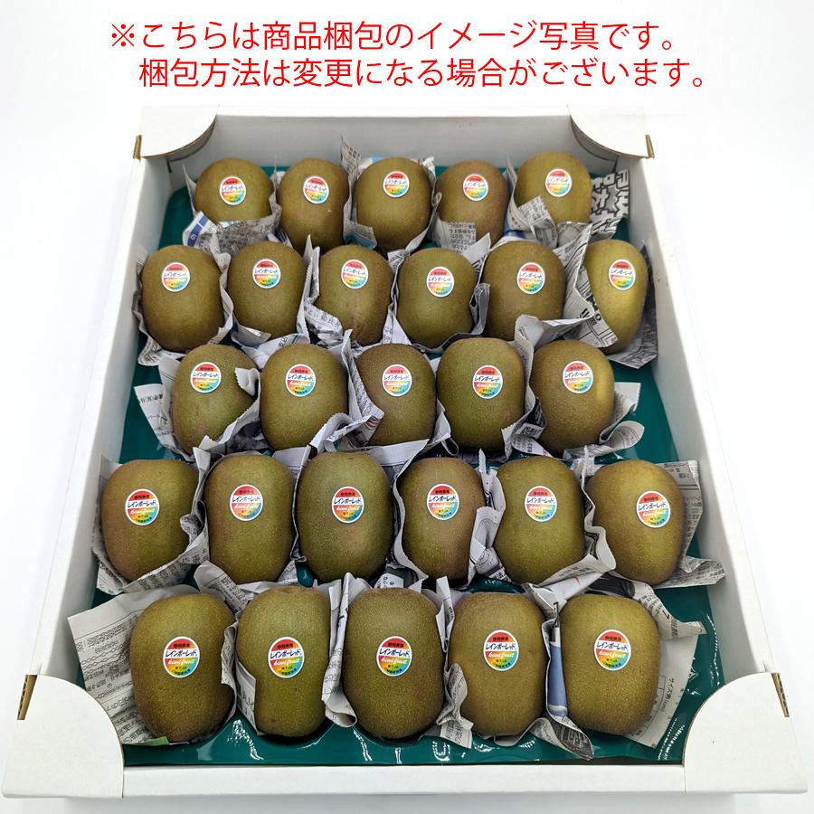 静岡産 レインボーレッドキウイ 大箱 （中玉〜大玉、約27〜36個