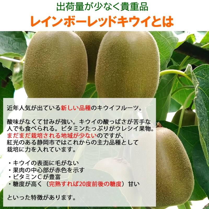 静岡産 レインボーレッドキウイ 大箱 （中玉〜大玉、約27〜36個入
