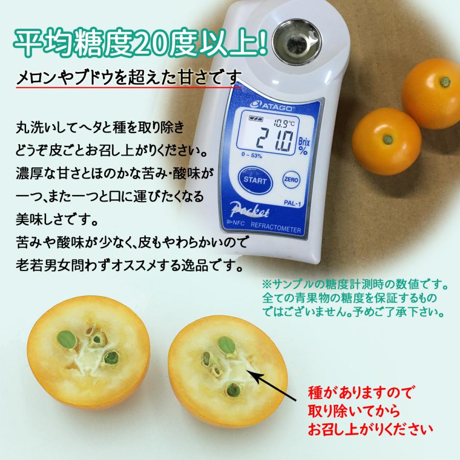 予約・1月下旬〜2月頃から順次出荷開始予定】【青秀品（優品）】 こん