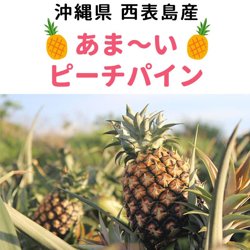 早期予約割！500円OFF！3480円→2980円！】沖縄西表島産 ピーチパイン