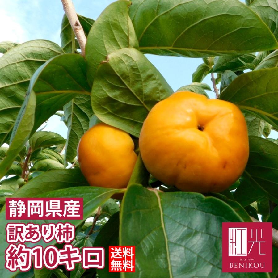 訳あり 柿 次郎柿 かき 産地厳選 静岡県産 １０キロ箱 約10キロ前後 入荷次第順次発送 北海道 沖縄は 1100円 こだわりの果物屋 紅光 通販 Yahoo ショッピング