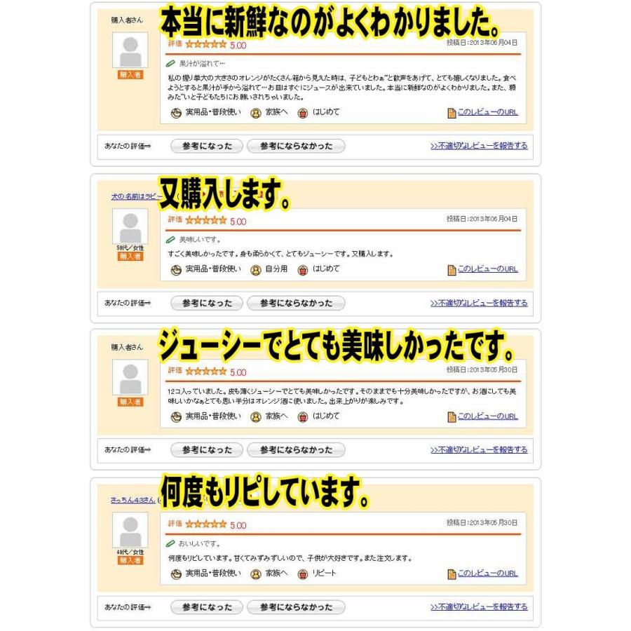 オレンジ 約10kg（約46〜66玉）「北海道・沖縄は+1100円」 アメリカ オーストラリア ネーブル バレンシア 柑橘 果物_4