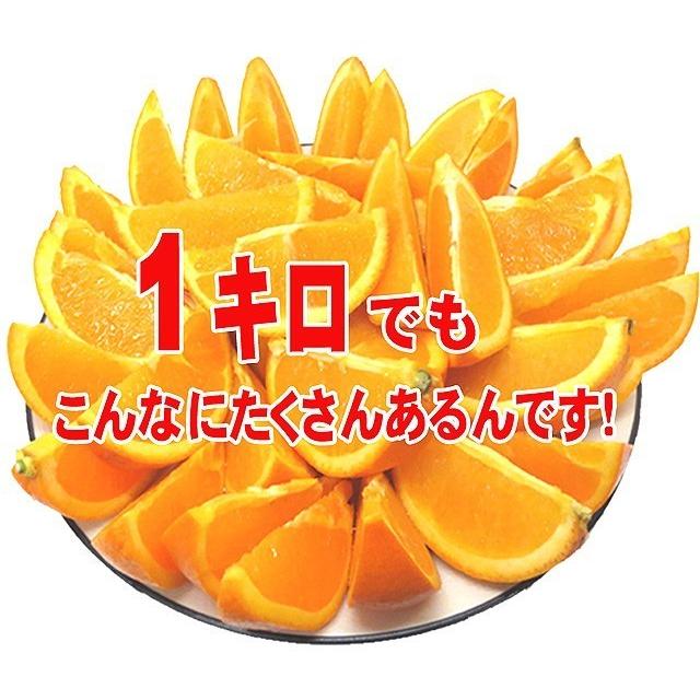 オレンジ 約10kg（約46〜66玉）「北海道・沖縄は+1100円」 アメリカ オーストラリア ネーブル バレンシア 柑橘 果物_5