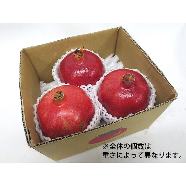即日出荷（営業日12：00まで(定休日除く)】アメリカ産 生ざくろ お試し