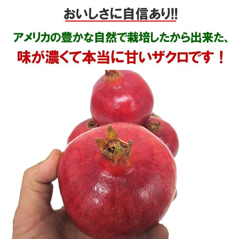 即日出荷（営業日12：00まで(定休日除く)】アメリカ産 生ざくろ お試し