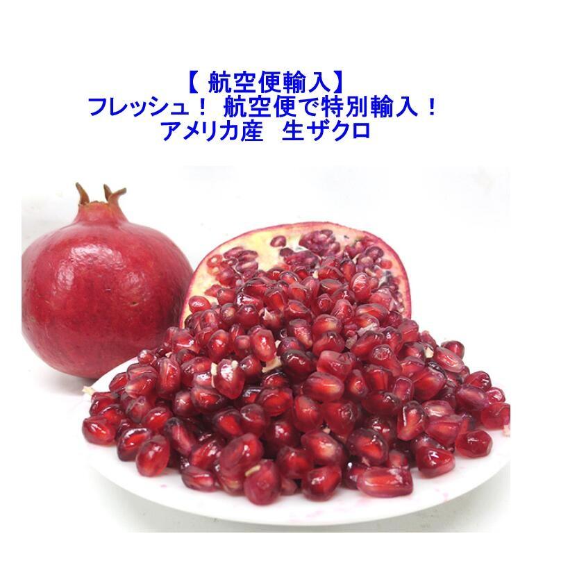 生ザクロ 送料無料 航空便輸入 アメリカ産 生ざくろ 生 石榴 ざくろ お試し1キロ 2玉 4玉 北海道 沖縄は 1100円 果物 実 こだわりの果物屋 紅光 通販 Yahoo ショッピング