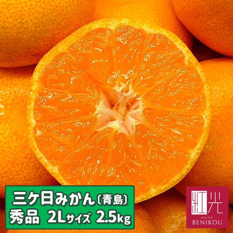 青島〕三ケ日みかん 【秀品】 2Lサイズ 2.5kg 「北海道・沖縄は+1100円