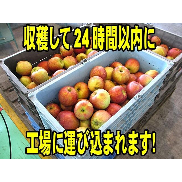 【送料無料】青研 葉とらずりんごジュース 195g×30本入り 1箱 「北海道・沖縄は+1100円」 ストレート 100％ 青森 葉とらず リンゴジュース カートン｜benikou｜04