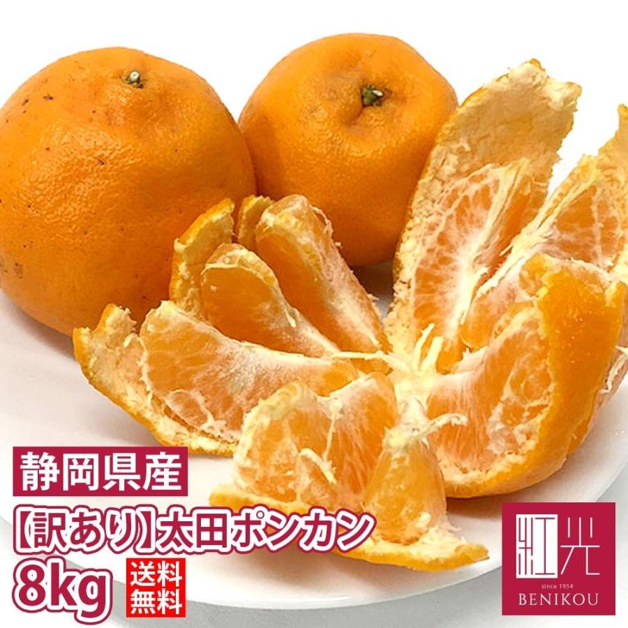 ポンカン ぽんかん 訳あり 太田ポンカン 8kg 「北海道・沖縄・その他