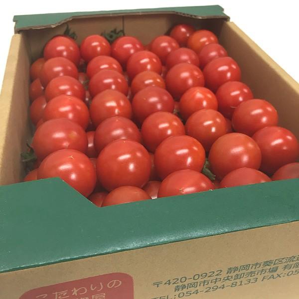 予約・ご予約順に出荷中！】【糖度約13度】静岡産 フルティカトマト 小