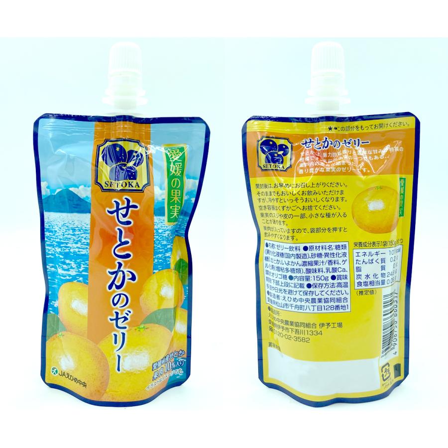 即日出荷（営業日12:00までの ご注文・定休日除く）】愛媛の果実 飲む