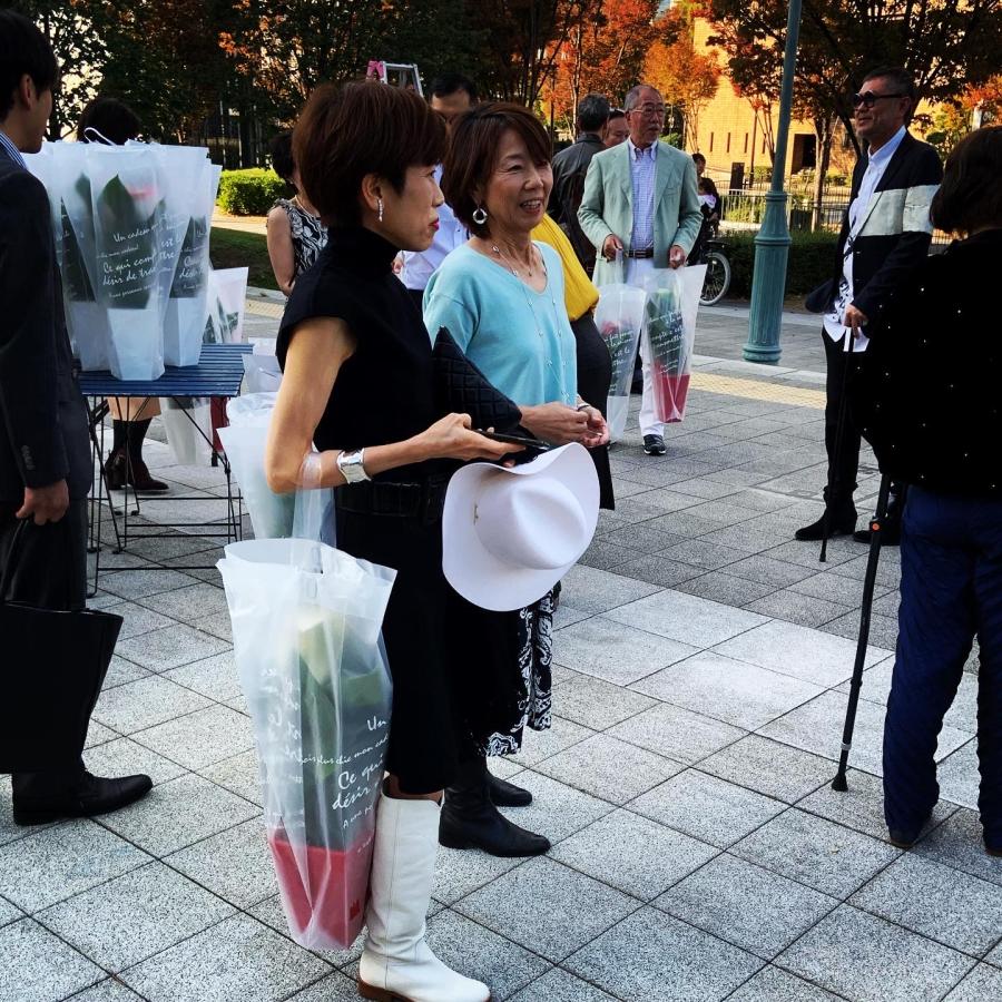 (赤) 愛んすりうむ7号 スクエア 高さ65cm アンスリウム アンスリューム  【異色含め同サイズ4鉢以上で送料無料】 |  | 07