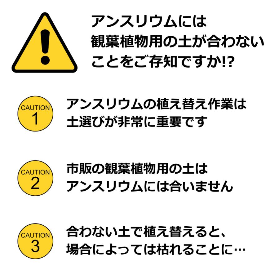 （6〜10号用）アンスリウム専用土 肥料入り 2.5L 生産者も使う 観葉植物にも使える アンスリューム |  | 01