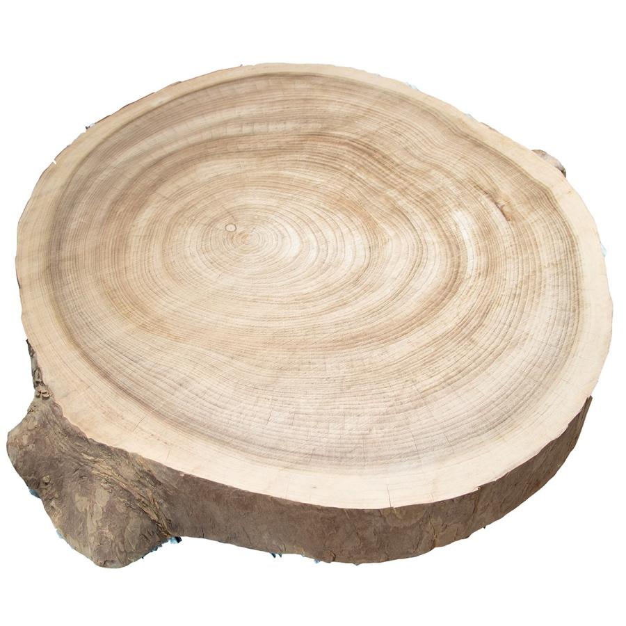 川島材木店 楠 丸テーブル Φ85cm x 厚11~12cm くすのき 輪切り大 川島材木店 楠 丸テーブル Φ85cm x 厚11~12cm くすのき 輪切り大