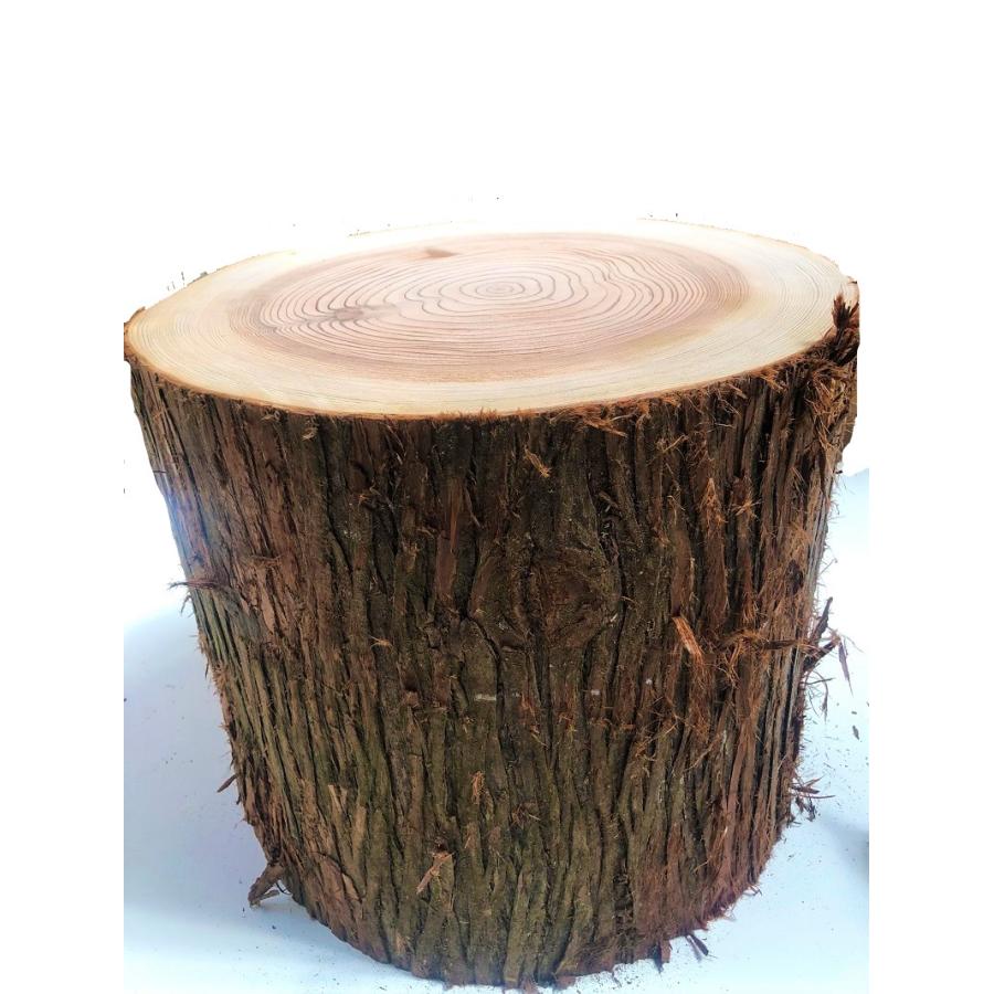 Ai　　檜　切り株　縦割り　高さ約25㎝ Ai様専用 檜 切り株 縦割り 高さ約25㎝ - メルカリ