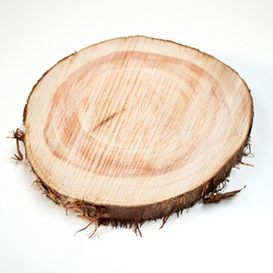 川島材木店 丸太の輪切り Lサイズ 2枚セット 約直径24x厚3cm 丸い木