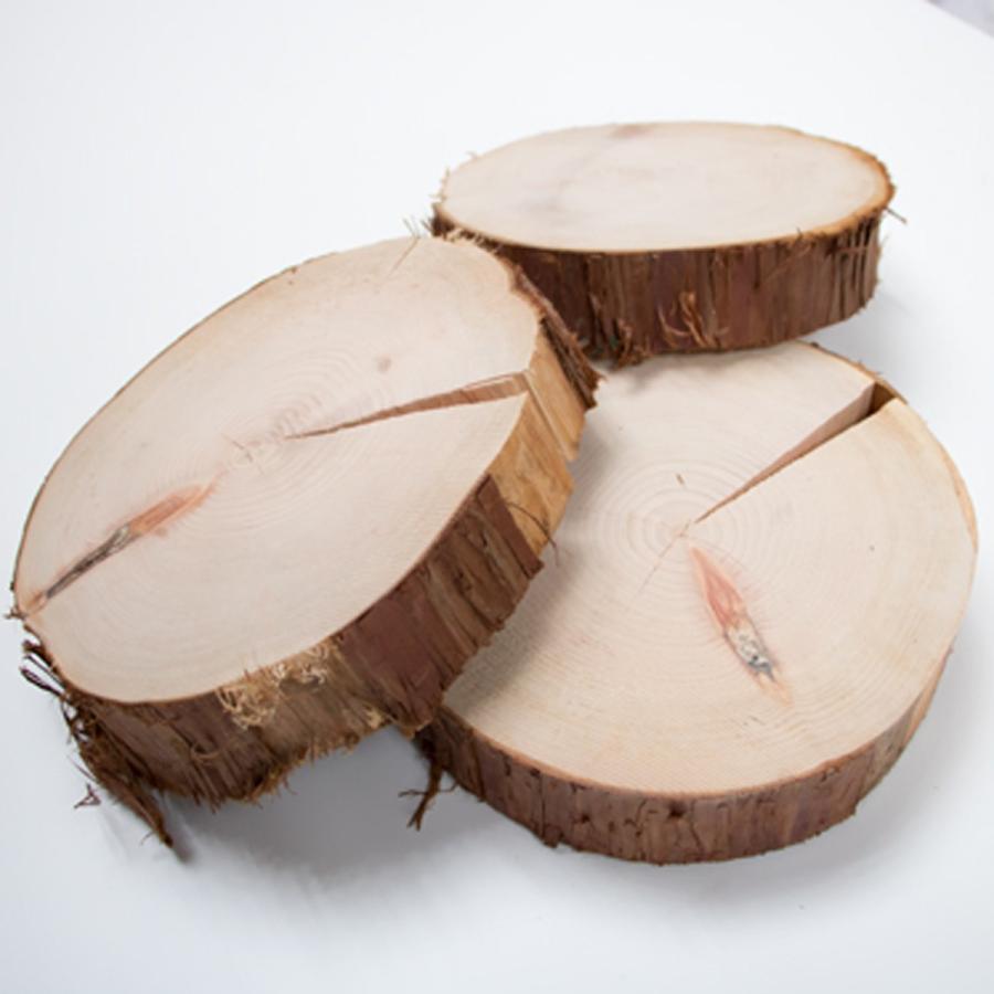 川島材木店 丸太の輪切り Lサイズ3枚セット 直径約24x厚さ3cm 丸い木