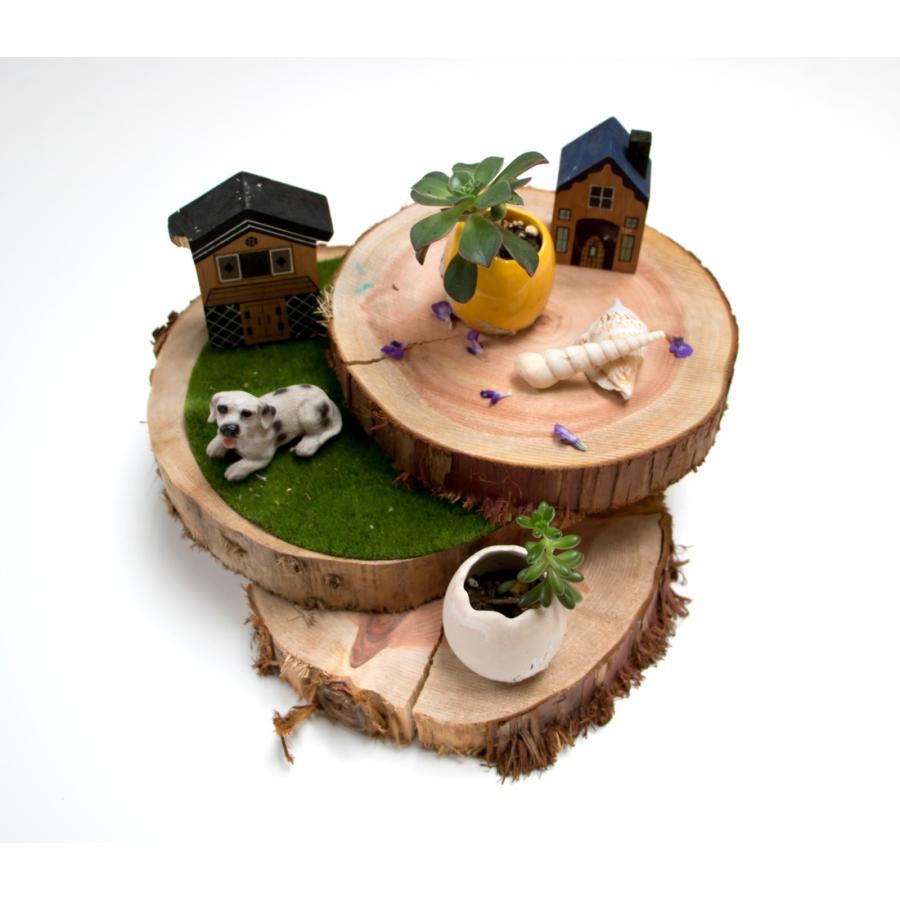 川島材木店 丸太の輪切り Mサイズ 2枚セット 約直径21x厚3cm 丸い木