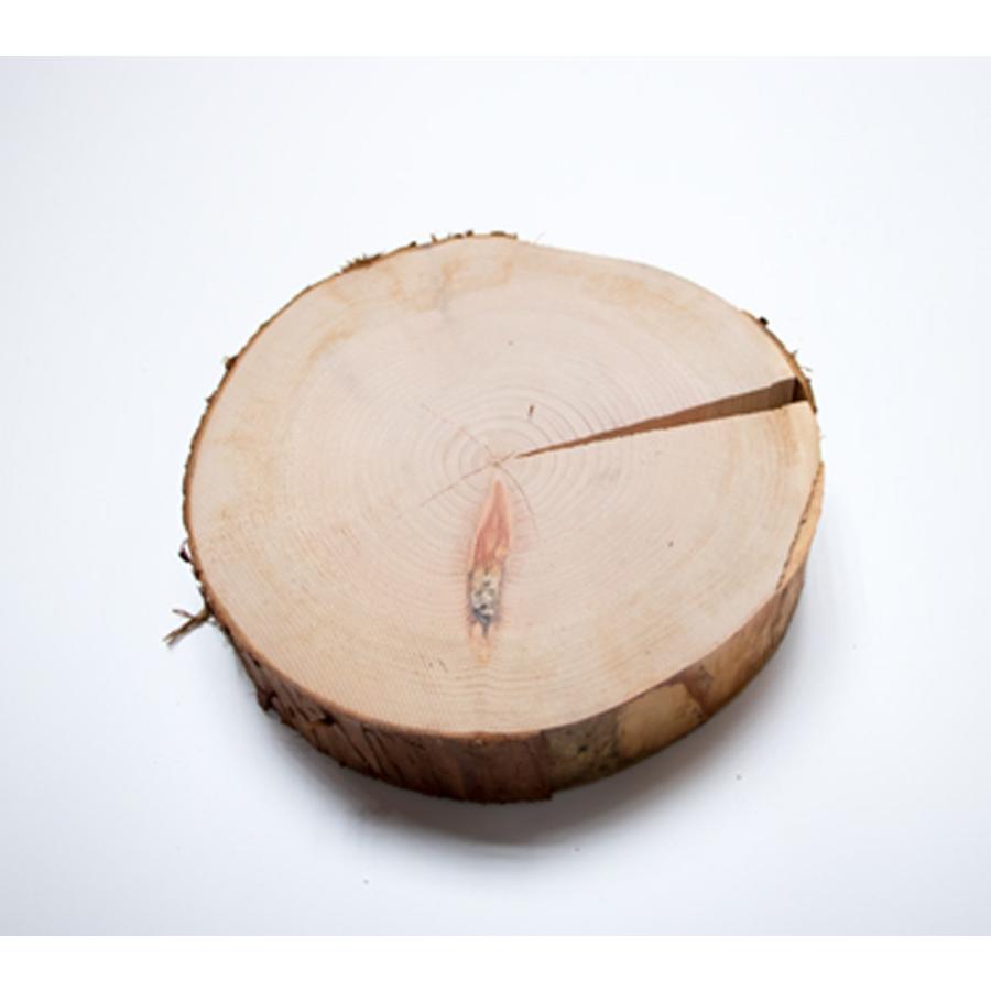 川島材木店 丸太の輪切り Mサイズ3枚セット 直径約21x厚さ3cm 丸い木