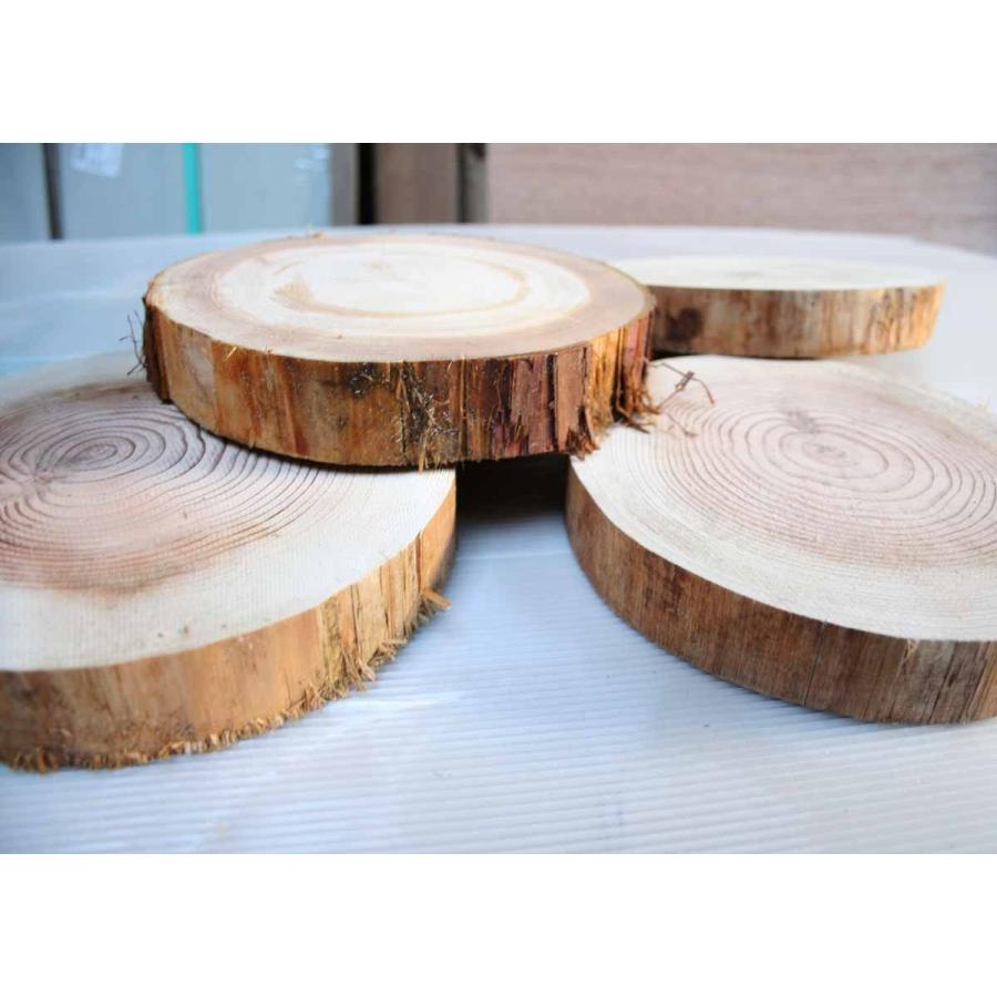 サワラ 天然木 切り株 輪切り 高さ約10㎝ サワラ 天然木 切り株 輪切り 高さ約10㎝