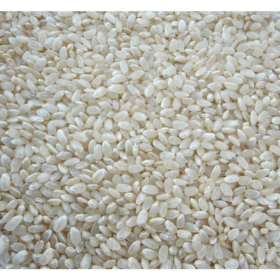 コシヒカリ 伊賀 玄米 10kg 精米無料 残留農薬分析済み 令和7年 三重県