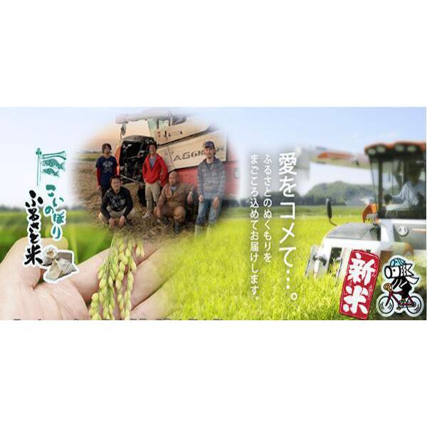 ミルキークイーン 令和7年 加須産 有機肥料 Wソート 玄米5kg 精米無料 
