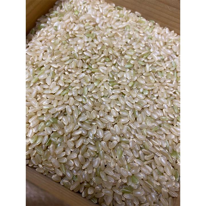 化学肥料不使用 ミルキークイーン 無洗米 Wソート 玄米10kg →精米＆無洗米加工 令和7年 埼玉県 加須産 特栽減減 ミルキークイーン_2