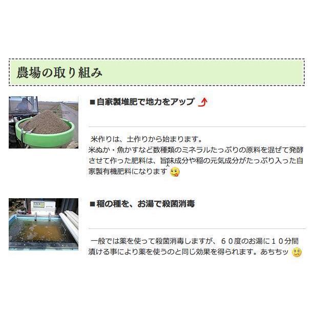 化学肥料不使用 ミルキークイーン 無洗米 Wソート 玄米10kg →精米＆無洗米加工 令和7年 埼玉県 加須産 特栽減減 ミルキークイーン_4
