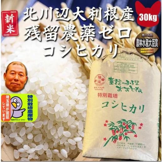 コシヒカリ 令和7年産 残留農薬ゼロ 30kg 大利根北川辺産 玄米 精米 