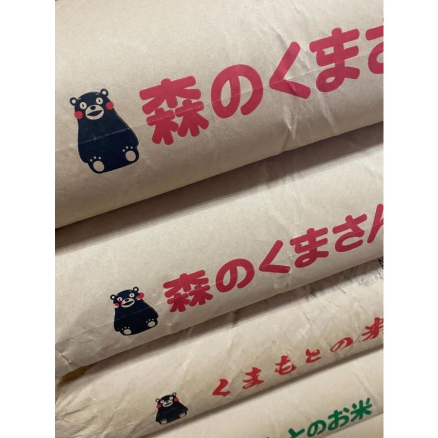 森のくまさん 九州熊本産 くまさんの輝き 令和7年産 玄米 30kg 精米