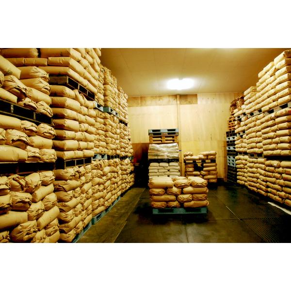 長野県産コシヒカリ令和6年産　玄米10キロ コシヒカリ 令和6年産 長野県東御産 1等 玄米 10kg 残留農薬