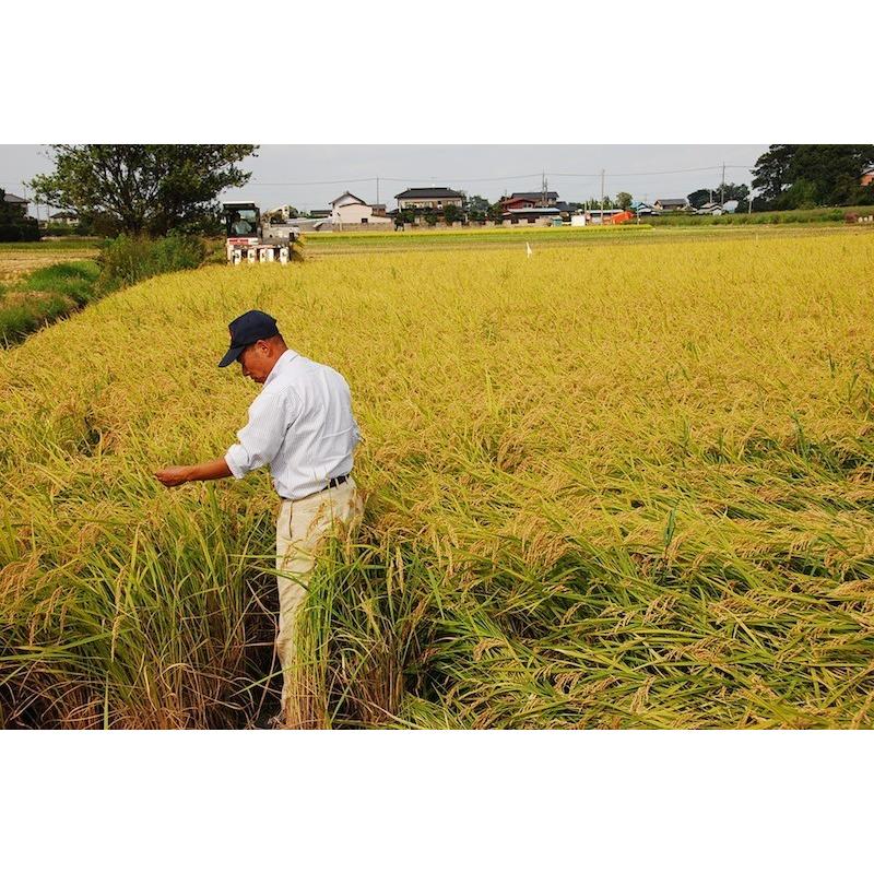 コシヒカリ 令和7年産 北川辺 大利根産 玄米1kg 特栽減減 残留農薬
