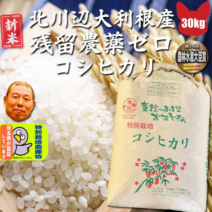 令和5年産 残留農薬ゼロ コシヒカリ 玄米 30ｋｇ　北川辺 大利根産 特栽減減  送料無料｜benjirou-shouten