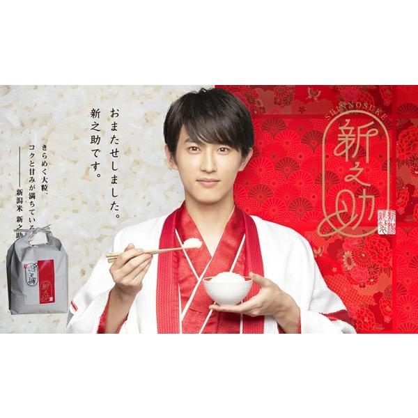 新潟県 JA新潟産 玄米 新之助 5kg 1等 令和6年産 Sソート選別