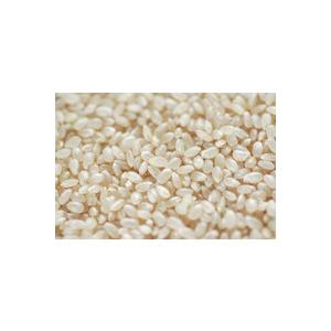 令和7年 福島県産 ミルキークイーン 玄米 10kg 1等 中通り須賀川産_2