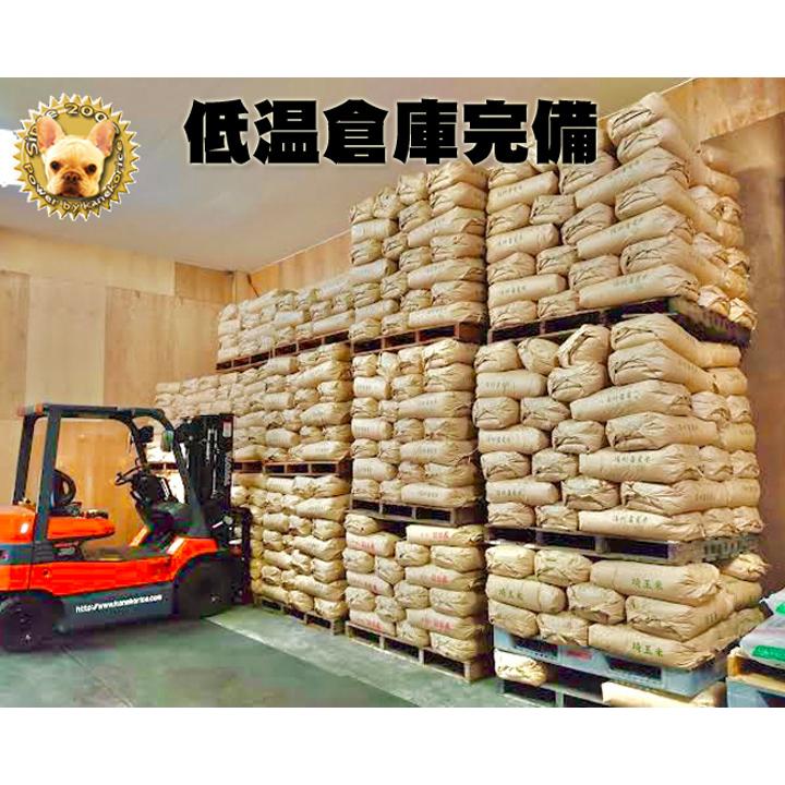 コシヒカリ 令和7年 福島中通り 須賀川産 玄米コシヒカリ 10kg 検査1