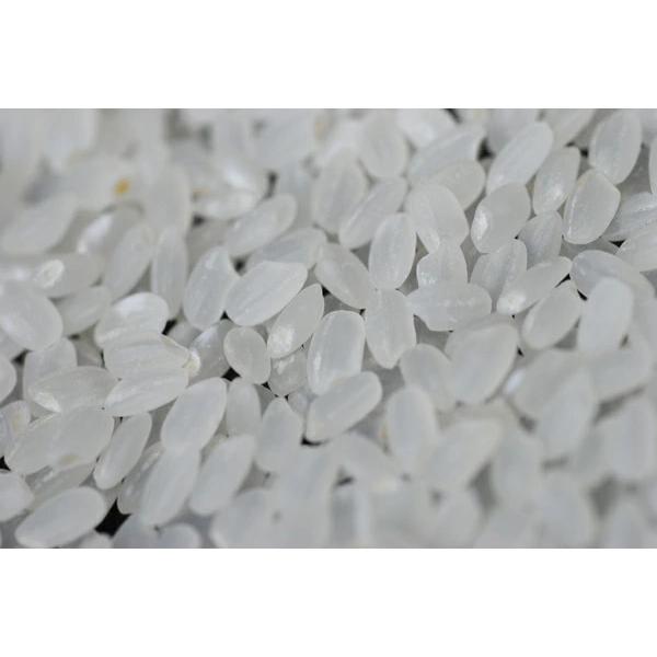 台湾産 ジャポニカ種 短粒種 玄米 10kg : 弁次郎商店 - 通販 - Yahoo