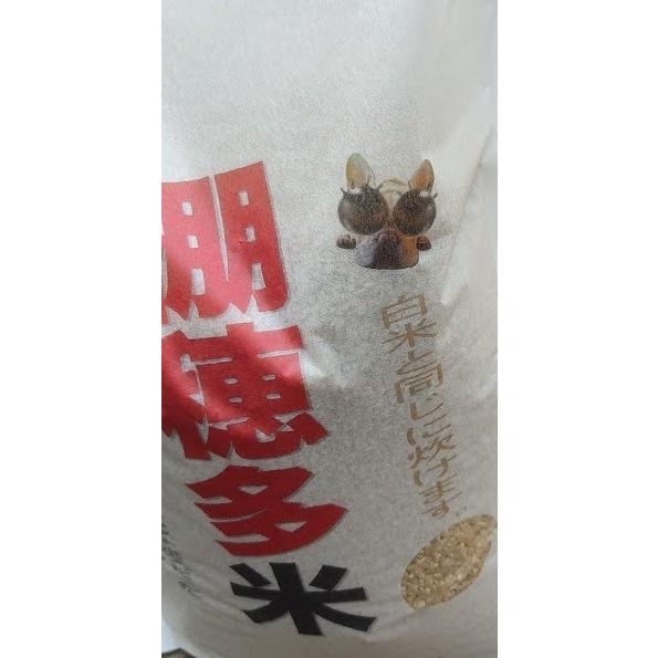 ミルキークイーン 棚穂多米 3kg ベンちゃん目が飛び出す美味しさ ミルキークイーン 棚穂多米 3kg ベンちゃん目が飛び出す美味しさ