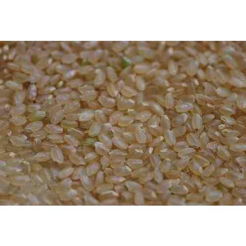 つや姫 山形県 置賜産 玄米 25kg 令和7年産 1等 特栽減減 : 弁次郎商店