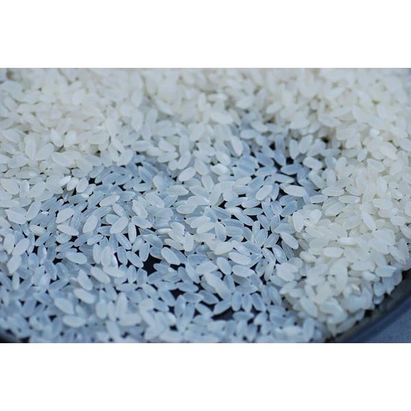 プレミアム カルローズ 10kg(5kg×２） カリフォルニア 生まれのお米精白 USA Rice 無洗米｜benjirou-shouten｜04